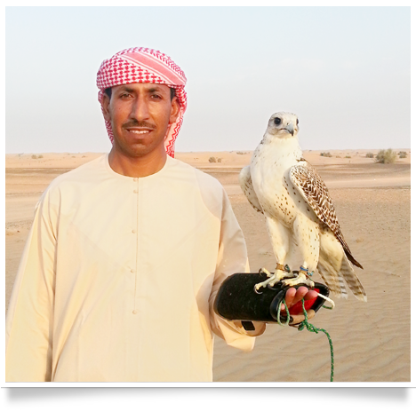 royal shaheen Eevents, falconry, dubai, desert, UEA, experience, show, birds, owls, eagles, kites, air, hawks, pest control services