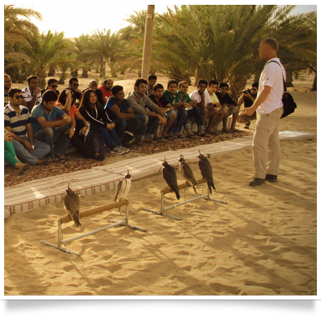 royal shaheen Eevents, falconry, dubai, desert, UEA, experience, show, birds, owls, eagles, kites, air, hawks, pest control services