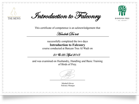 royal shaheen Eevents, falconry, dubai, desert, UEA, experience, show, birds, owls, eagles, kites, air, hawks, pest control services