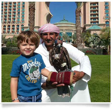 royal shaheen Eevents, falconry, dubai, desert, UEA, experience, show, birds, owls, eagles, kites, air, hawks, pest control services