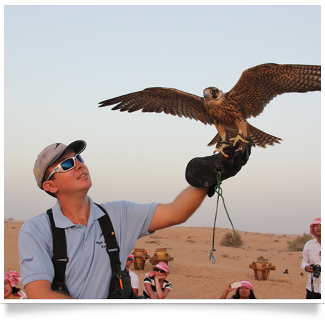 royal shaheen Eevents, falconry, dubai, desert, UEA, experience, show, birds, owls, eagles, kites, air, hawks, pest control services