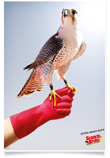 royal shaheen Eevents, falconry, dubai, desert, UEA, experience, show, birds, owls, eagles, kites, air, hawks, pest control services