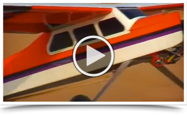 royal shaheen Eevents, falconry, dubai, desert, UEA, experience, show, birds, owls, eagles, kites, air, hawks, pest control services